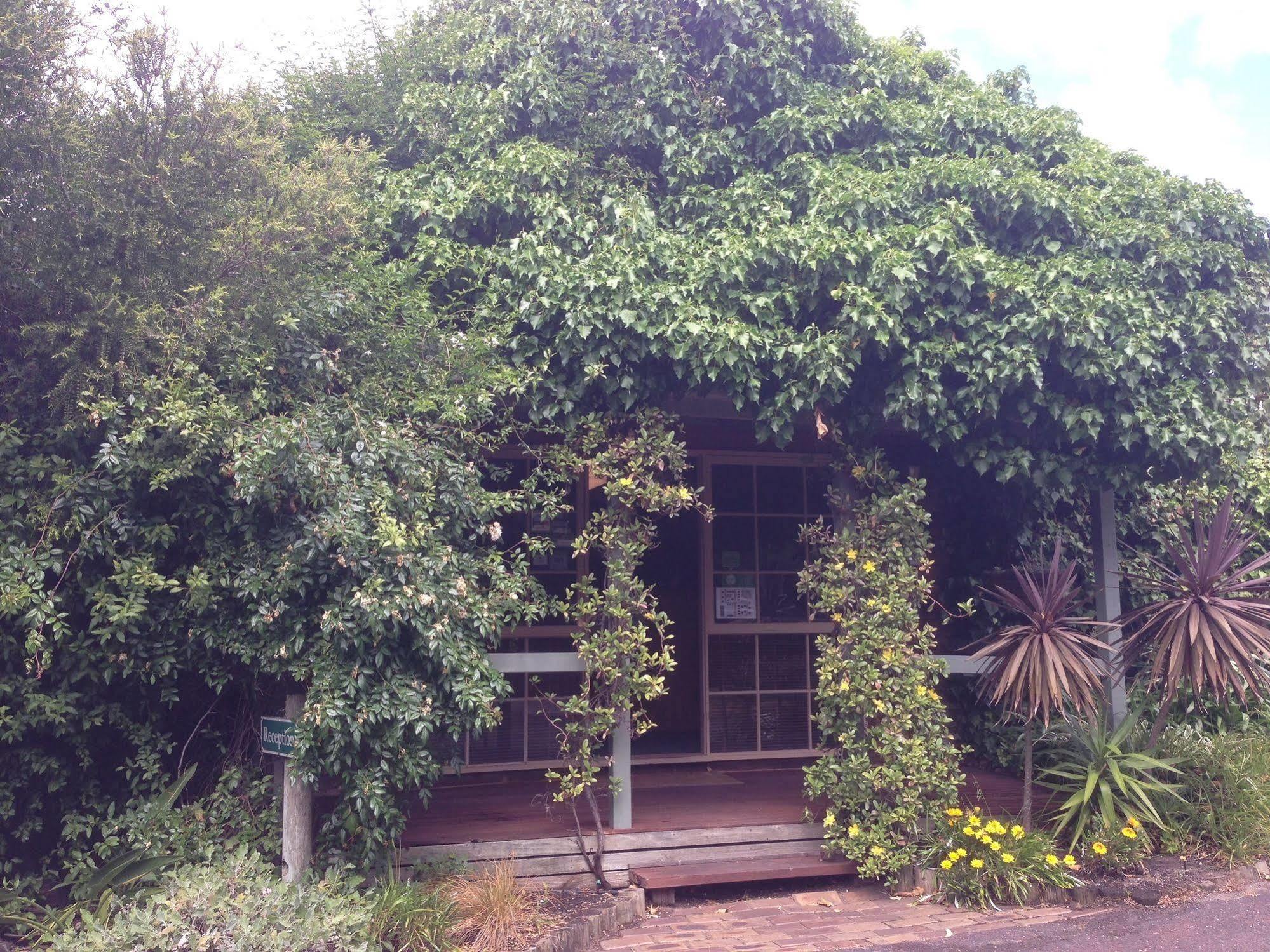 Ti-Tree Village Ocean Grove Buitenkant foto